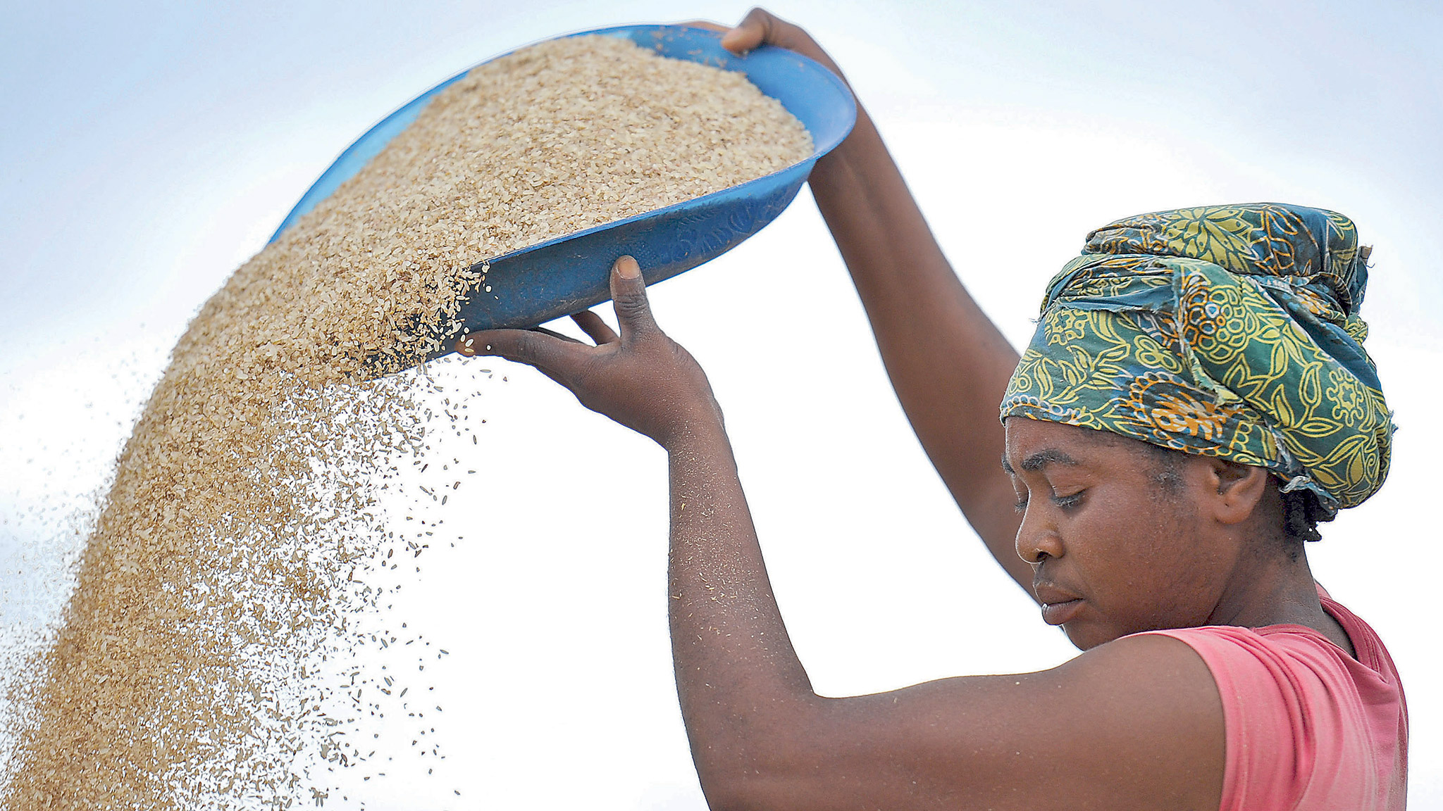Nigeria's quest to rice production sufficiency