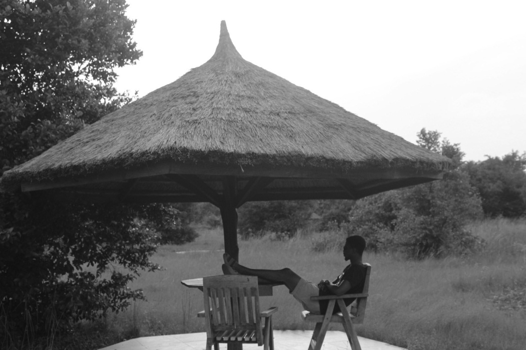 Canopy_walk_lekki_conservation_centre_the1effect_naturaljunkie