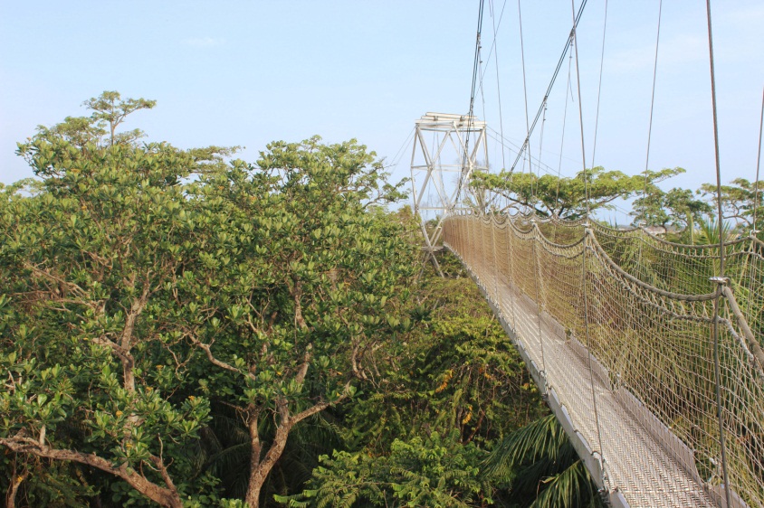 Canopy_walk_lekki_conservation_centre_the1effect_naturaljunkie