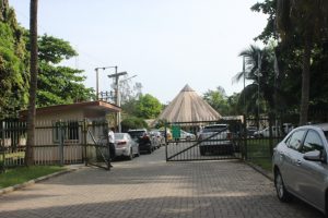 Canopy_walk_lekki_conservation_centre_the1effect_naturaljunkie