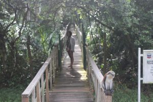 Canopy_walk_lekki_conservation_centre_the1effect_naturaljunkie