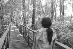 Canopy_walk_lekki_conservation_centre_the1effect_naturaljunkie