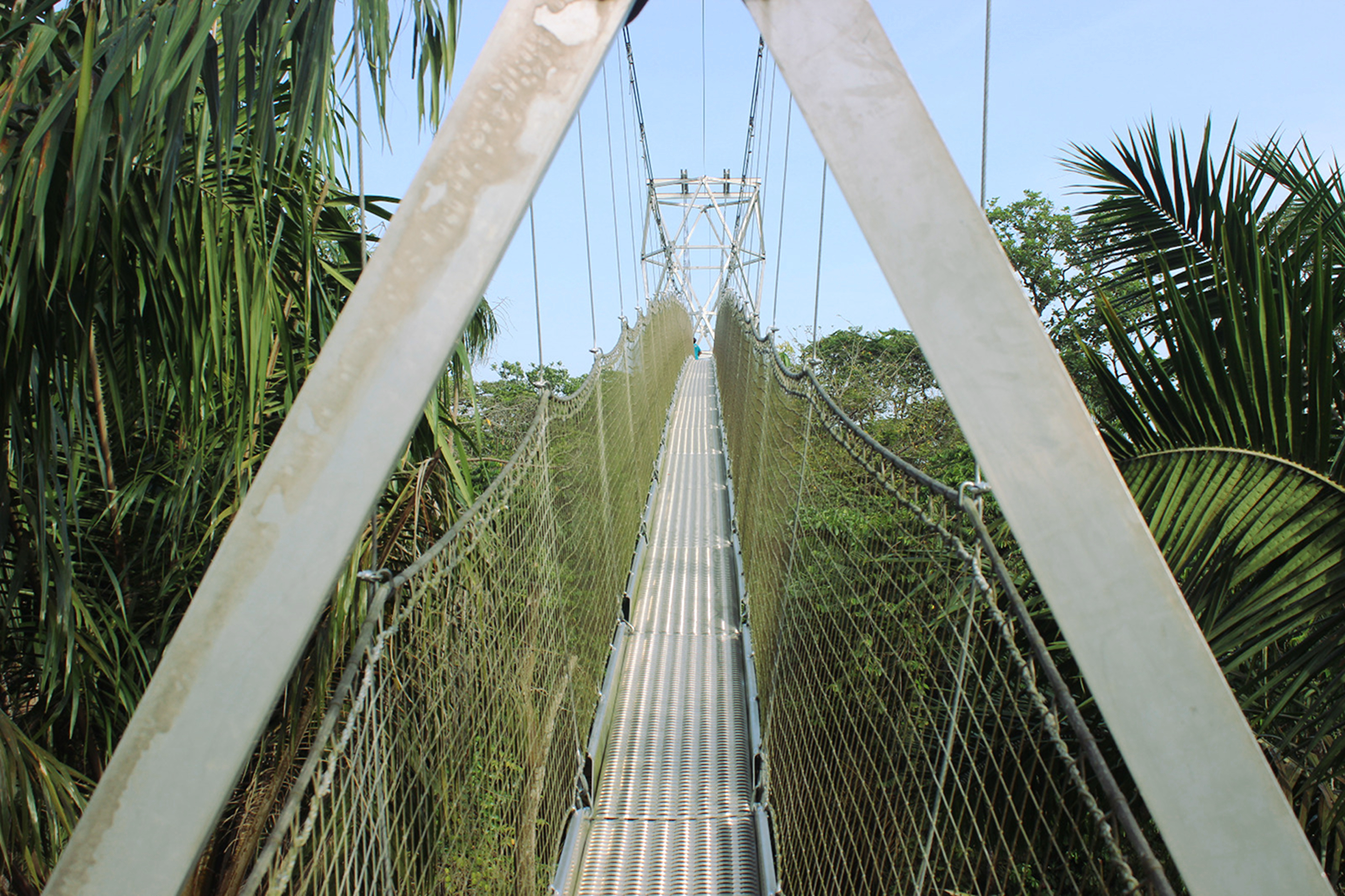 Canopy_walk_lekki_conservation_centre_the1effect_naturaljunkie