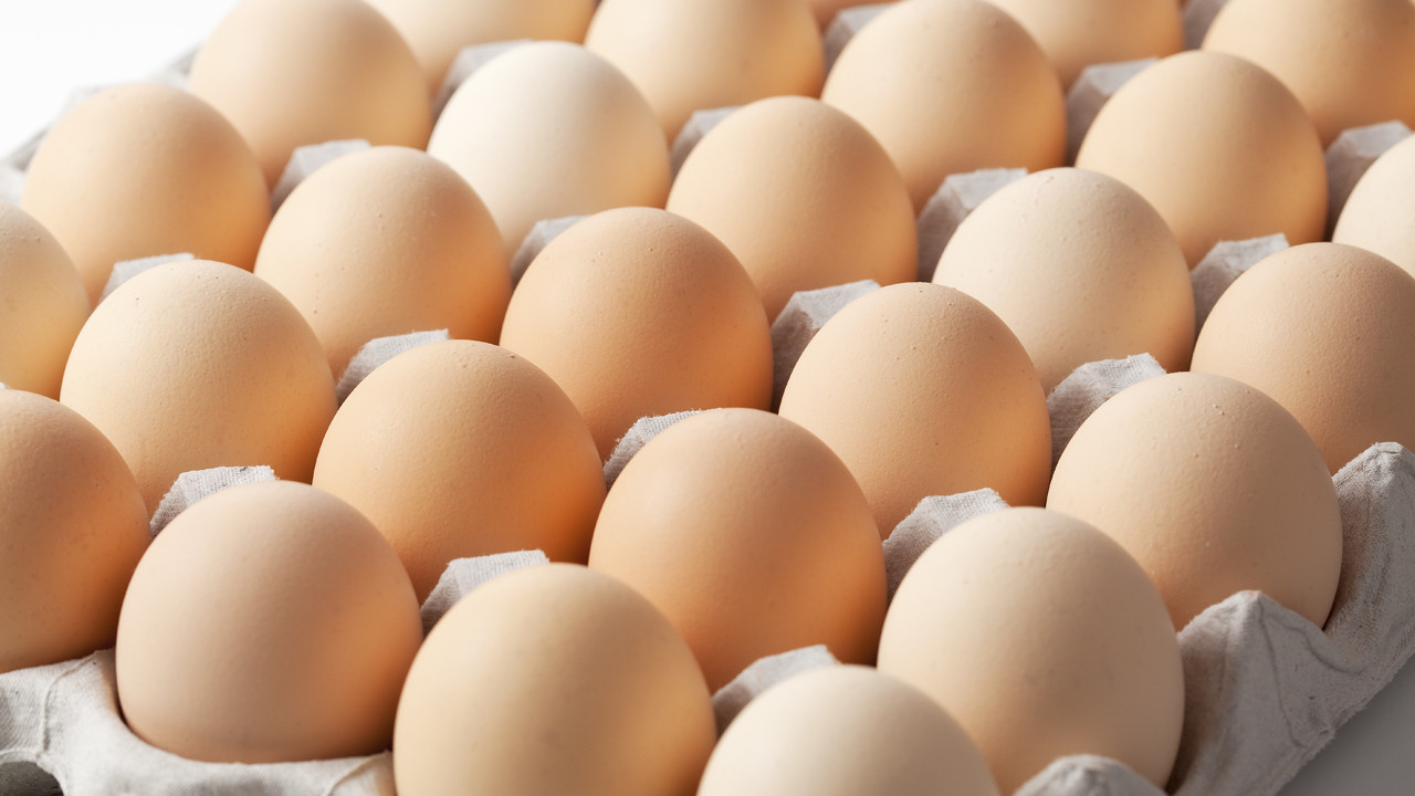 FG Ready To Launch N10Billion Egg Production Scheme