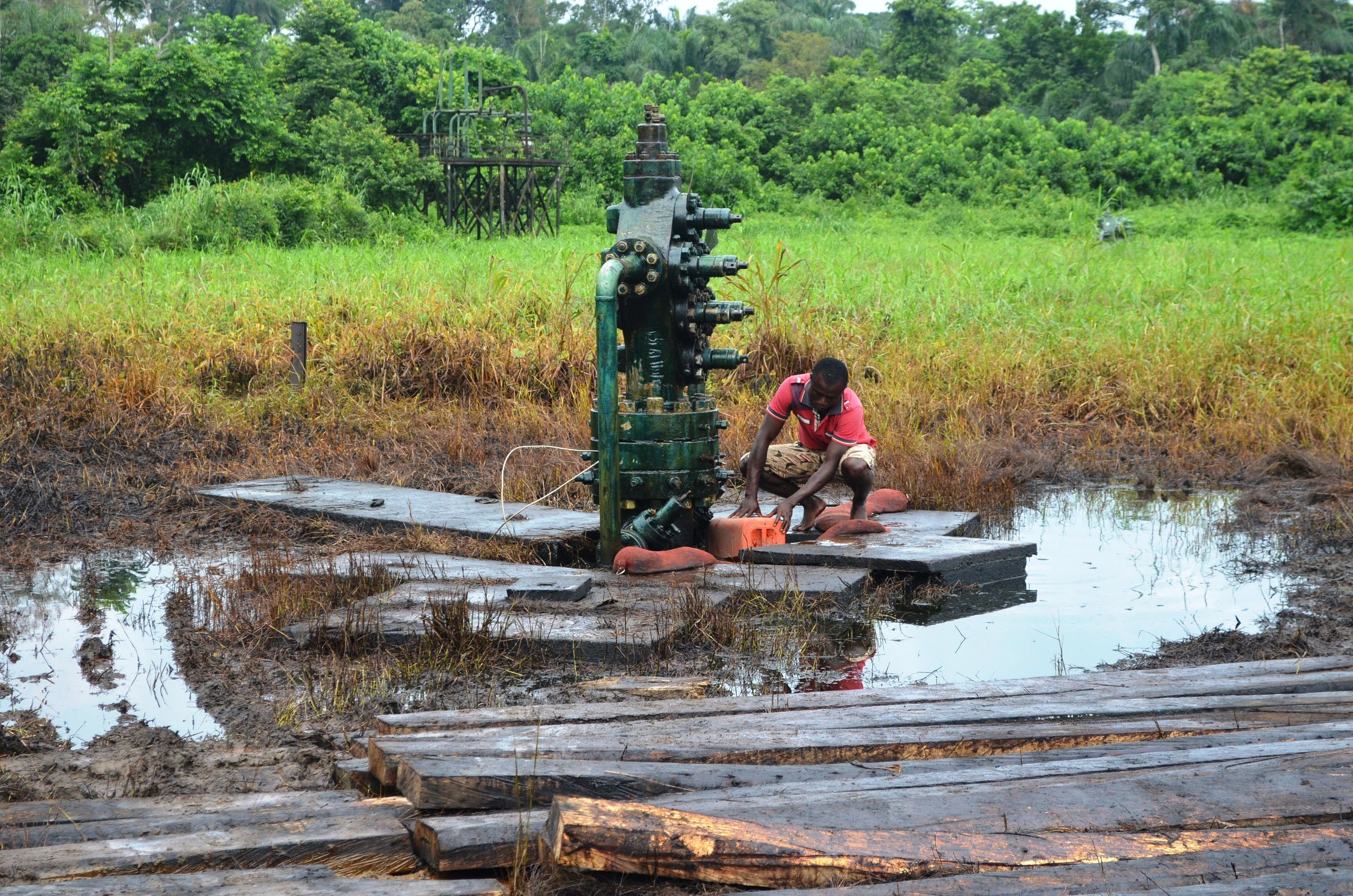 Environmentalists seek establishment of labs in niger-delta to solve oil-spills