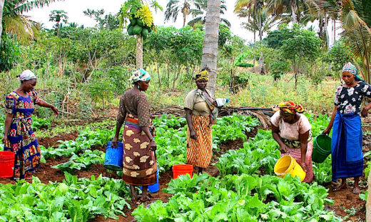 Farming Can Improve Nigerians Life - Labour Leader